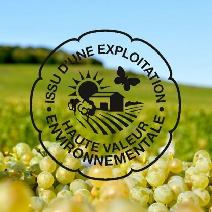 Champagne brut - Pietrement Renard - Cuvée 2013 - Raisons vieilles vignes – Image 2