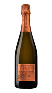Champagne brut - Pietrement Renard - Cuvée 2013 - Raisons vieilles vignes